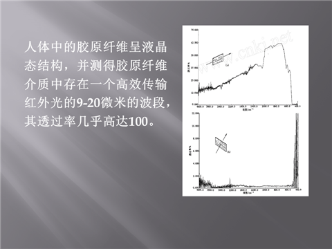 幻灯片4.png