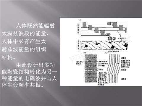 幻灯片8.png