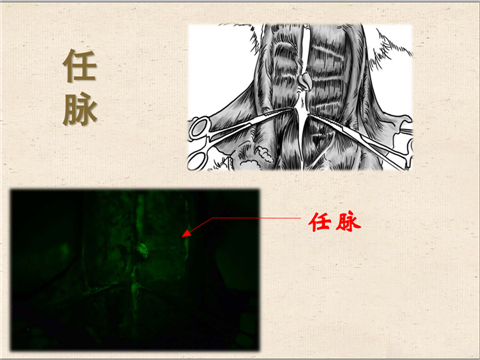 幻灯片9.png