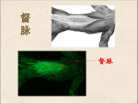 幻灯片10.png