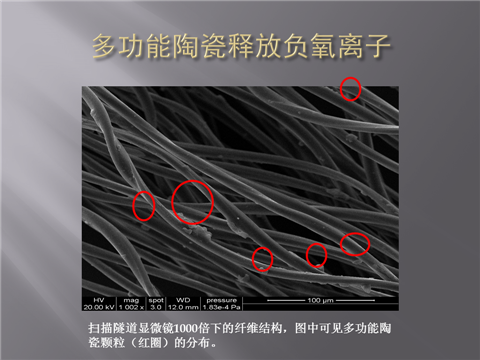 幻灯片11.png