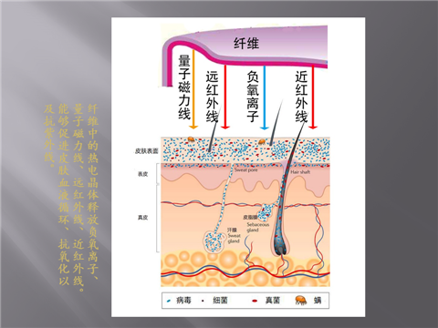幻灯片13.png
