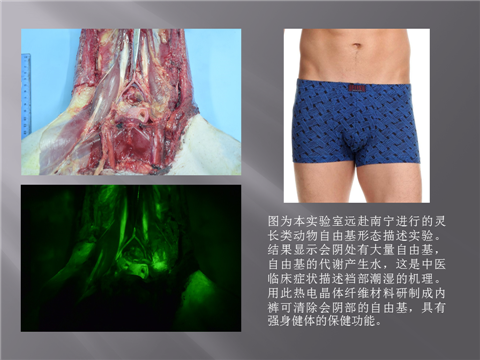 幻灯片14.png