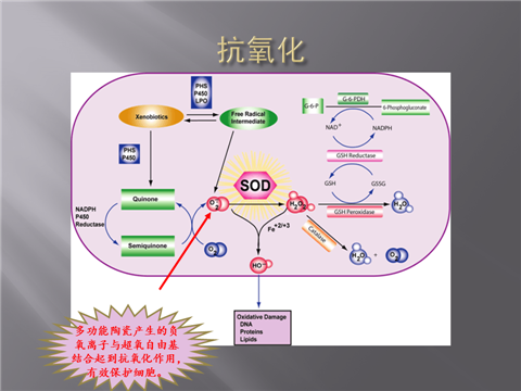 幻灯片15.png