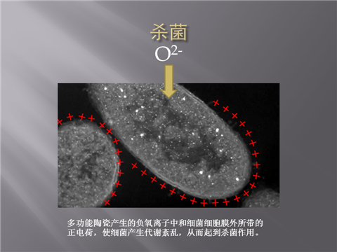 幻灯片16.png