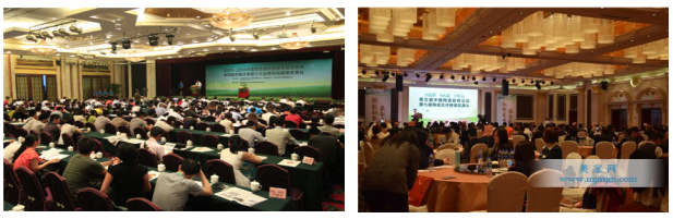 1545705186318155.png 000.png