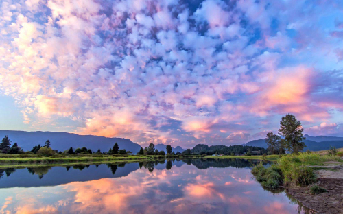 1563439966795263.jpg timg (2).jpg