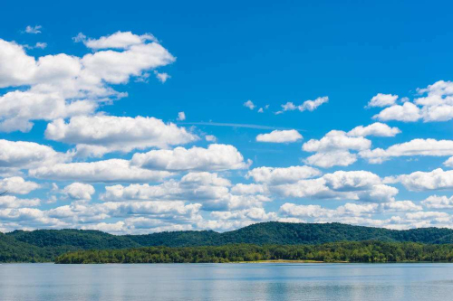 1569742977102755.jpg timg.jpg