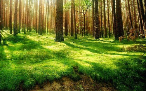 1570438212794609.jpg timg (2).jpg